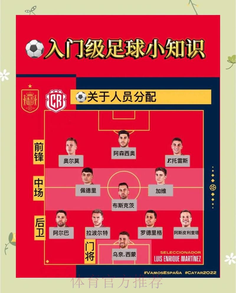 世界杯比利时C罗阵容解析完整指南